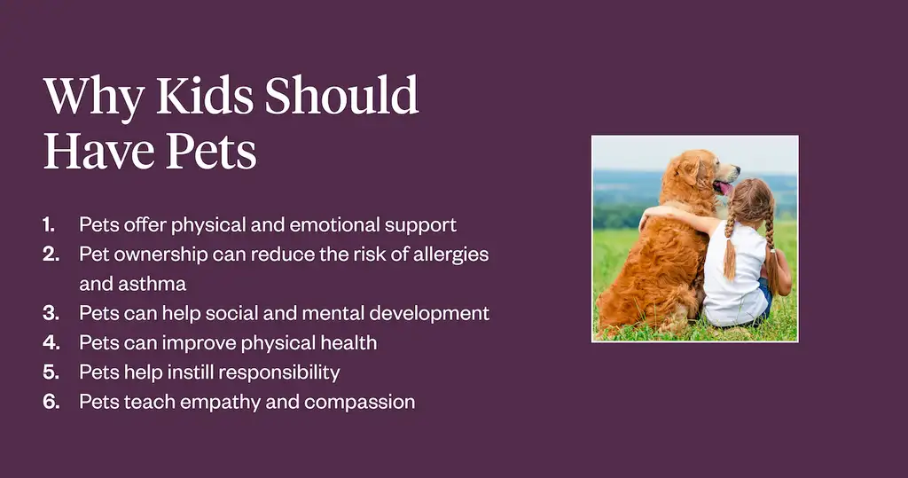 Pet Training Guides