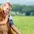 Pet Training Guides