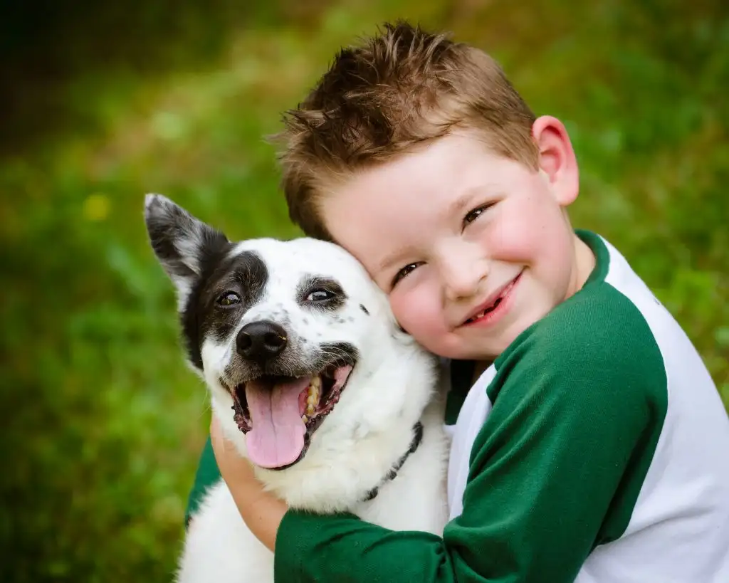Pet Training Guides