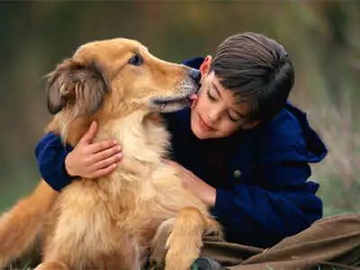 Pet Emergency Care at Home: Quick Solutions for Your Furry Friends