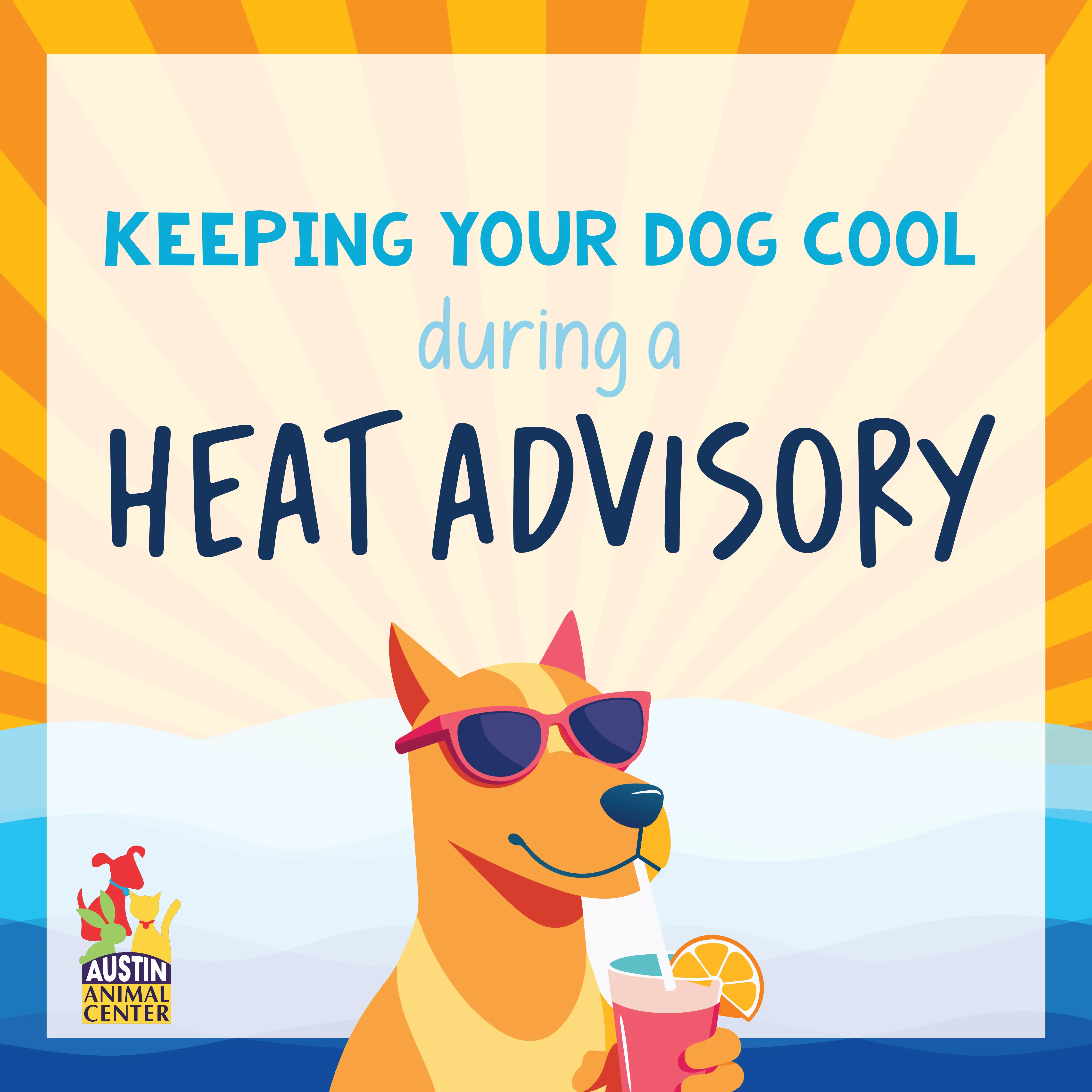 Pet Training Guides