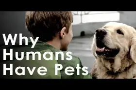Welcome to the World of Newborn Pets, Your Adorable Companions Await!