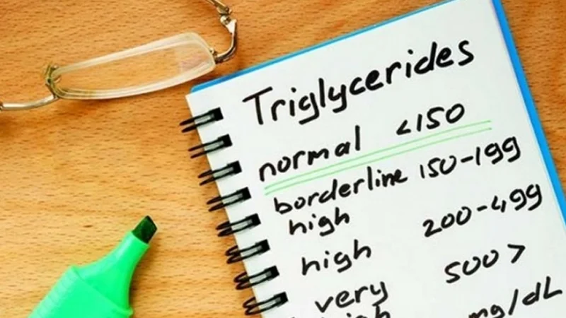 chi-so-triglyceride-la-gi