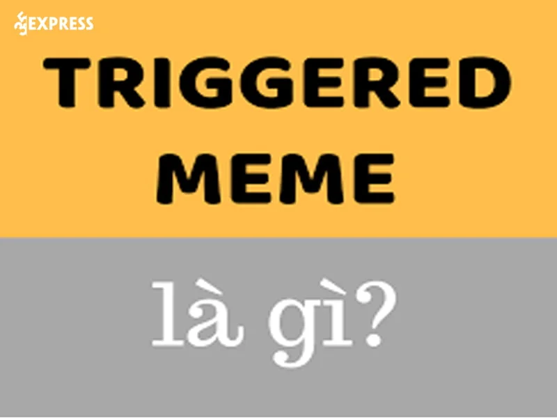 moi-quan-he-giua-triggered-va-meme-co-the-ban-chua-biet-35express