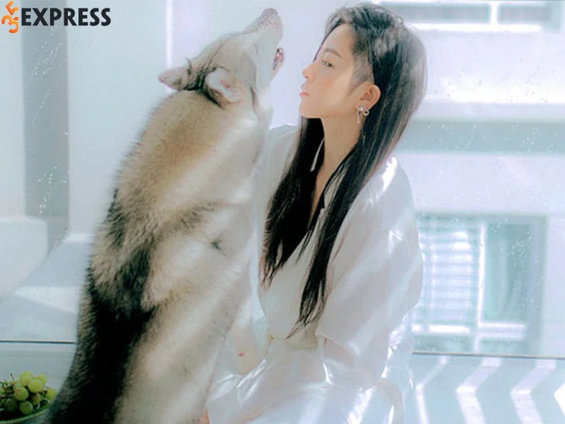 doi-tu-cua-ca-si-gil-le-35express