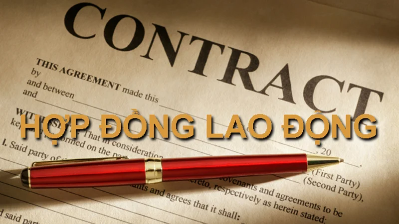 download-mau-hop-dong-lao-dong-moi-nhat