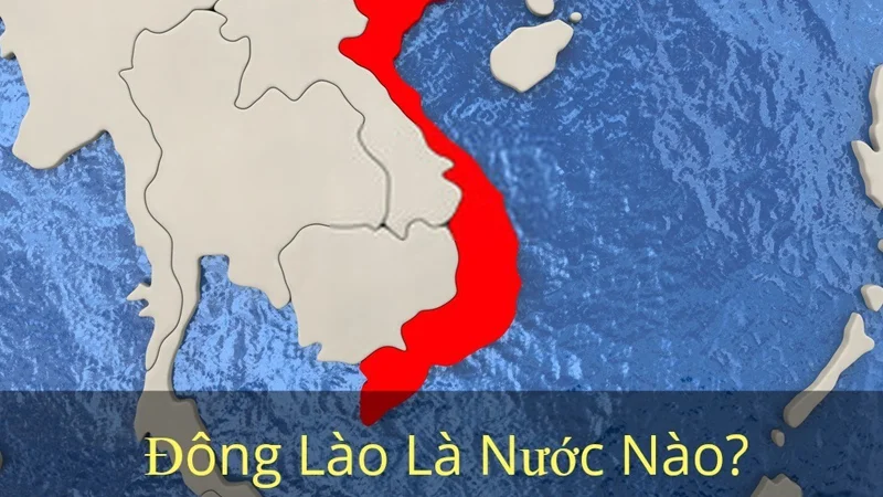 dong-lao-la-gi