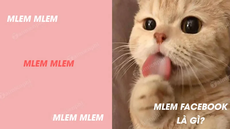 mlem-mlem-la-gi