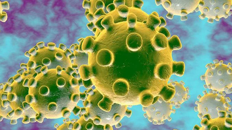 virus-covid-19-ncov-la-gi