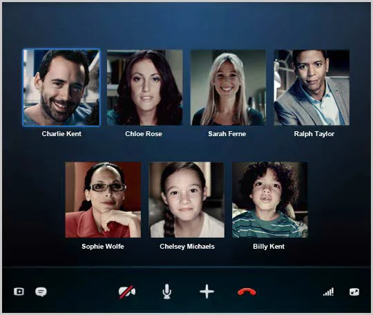 hop-truc-tuyen-qua-skype