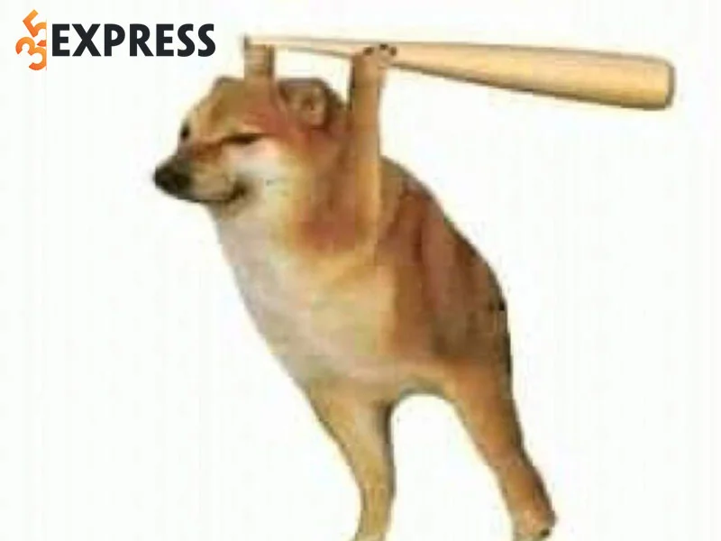 nguon-goc-cua-meme-bonk-cheems-noi-tieng-35express