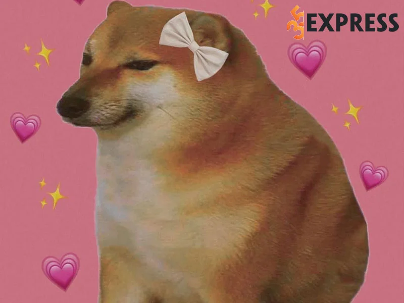 tong-hop-mot-so-bien-tau-cua-meme-bonk-cheems-1-35express