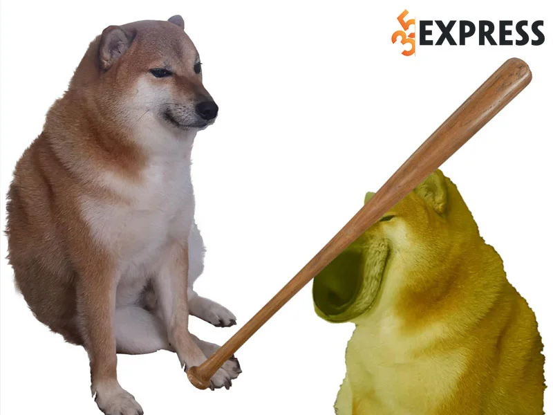 y-nghia-dang-sau-meme-cheems-noi-tieng-nhat-the-gioi-35express
