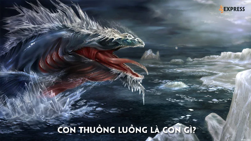 con-thuong-luong-la-gi-35express