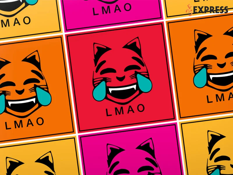mot-so-y-nghia-khac-cua-lmao-35express