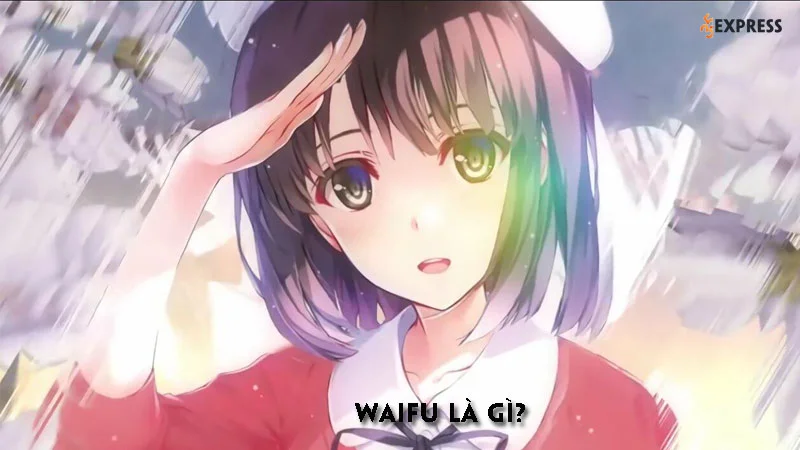 waifu-la-gi-35express