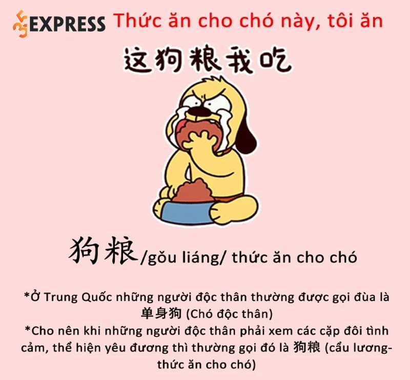 y-nghia-cua-cau-luong-com-cho-hay-com-tro-la-gi-35express