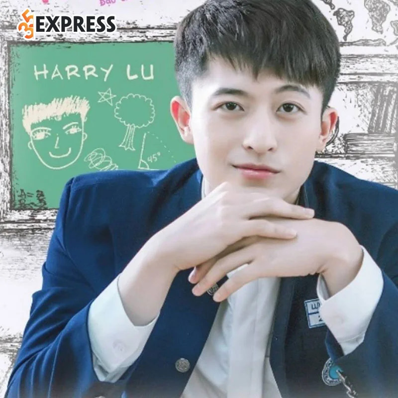 hinh-anh-dien-trai-cua-harry-lu-truoc-khi-tai-nan-35express