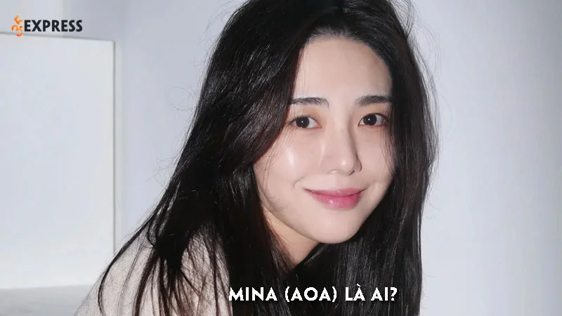 mina-aoa-la-ai-35express