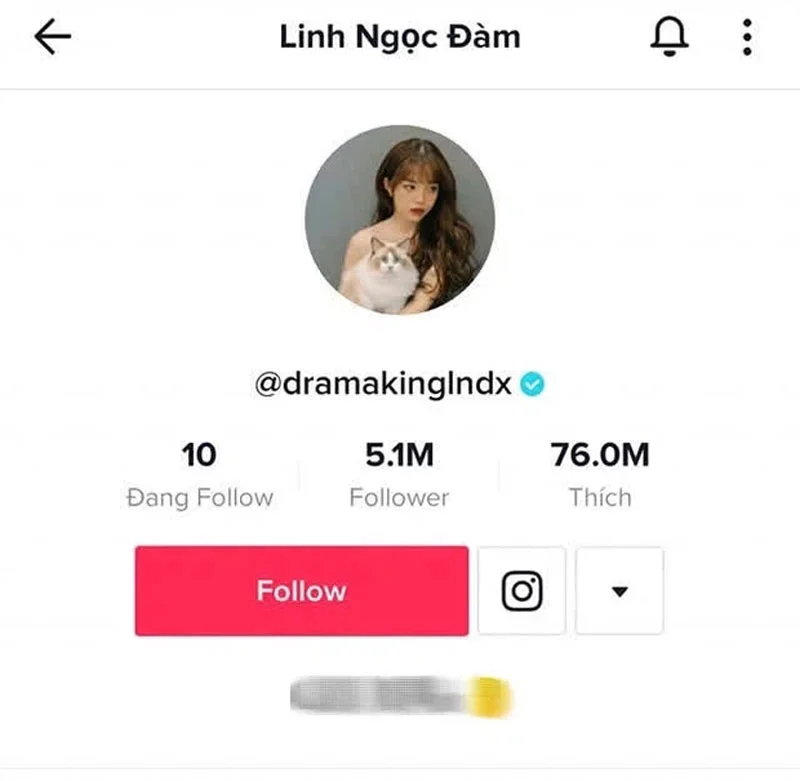 ba-hoang-mxh-linh-ngoc-dam-dat-4-trieu-nguoi-theo-doi-tren-instagram-2-35ẽpress
