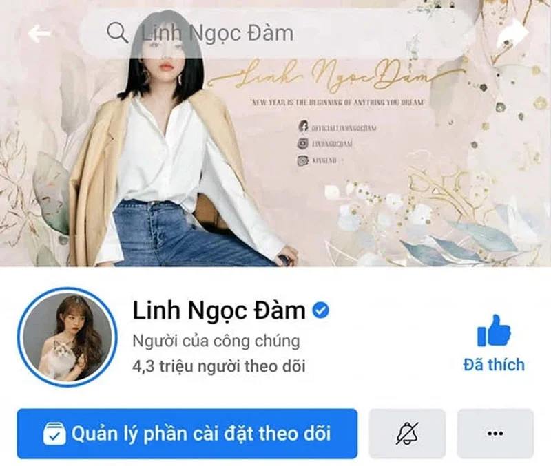 ba-hoang-mxh-linh-ngoc-dam-dat-4-trieu-nguoi-theo-doi-tren-instagram-3-35ẽpress