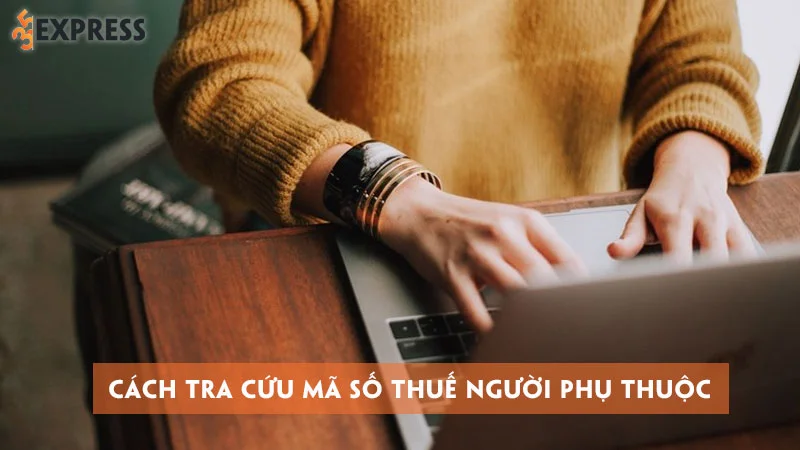 cach-tra-cuu-ma-so-thue-nguoi-phu-thuoc-day-du-chinh-xac-nhat