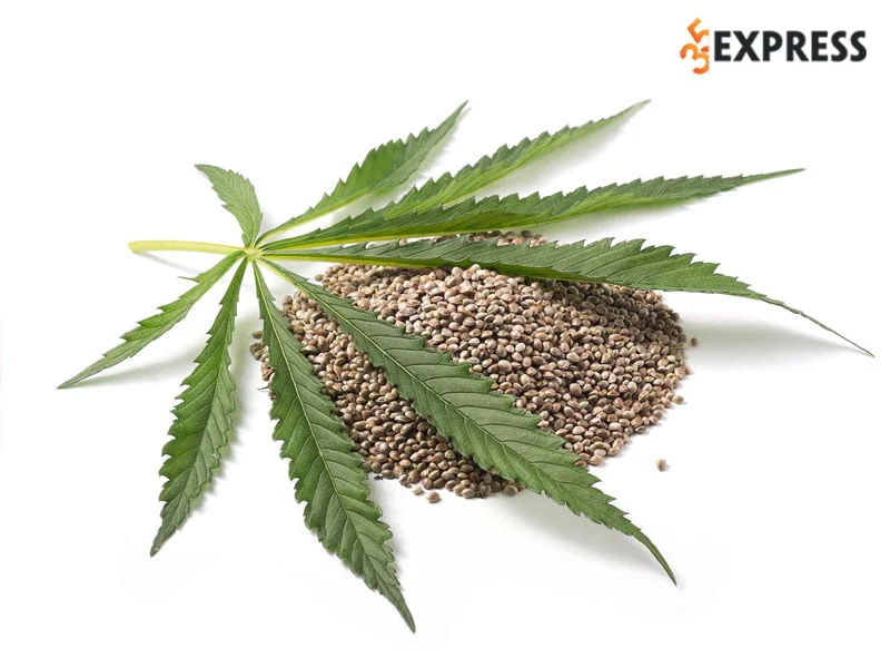 hemp-la-gi-2-35express.