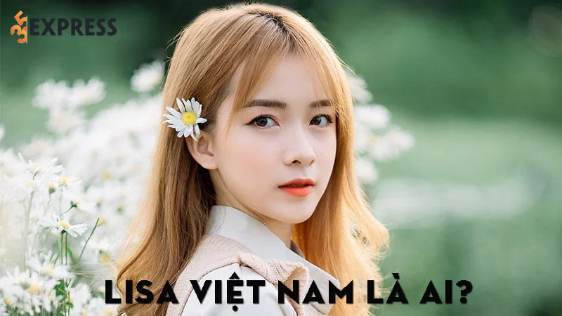 lisa-viet-nam-la-ai-35express