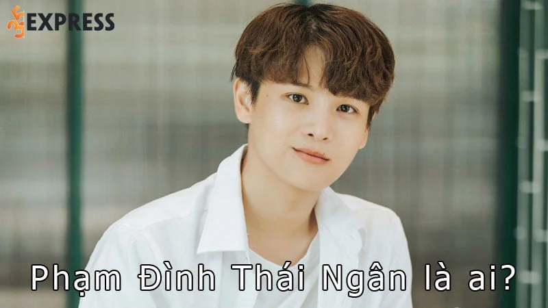 pham-dinh-thai-ngan-la-ai-35express
