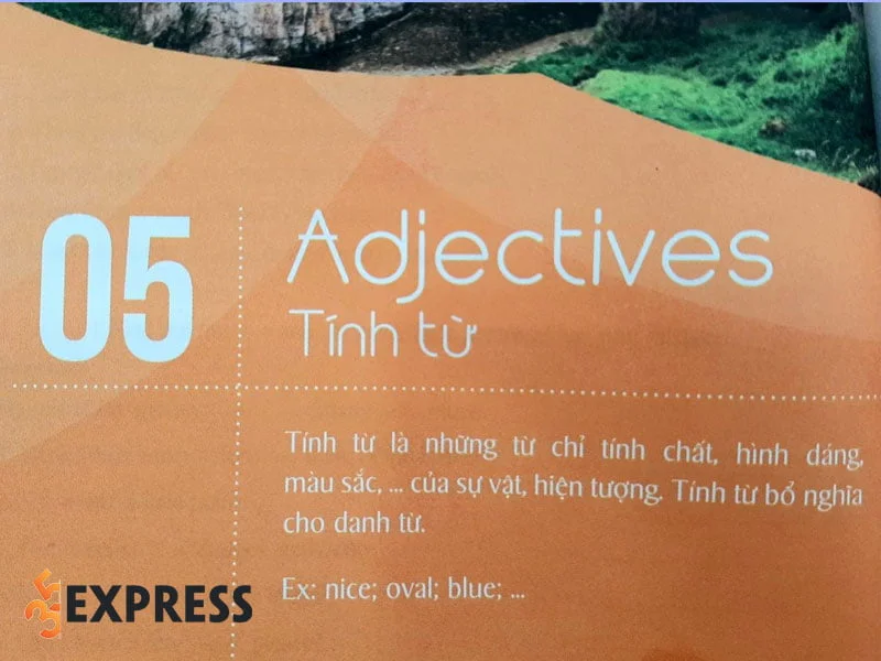 tinh-tu-la-gi-35express