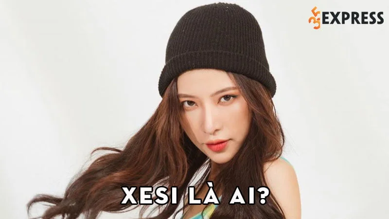 xesi-la-ai-35express