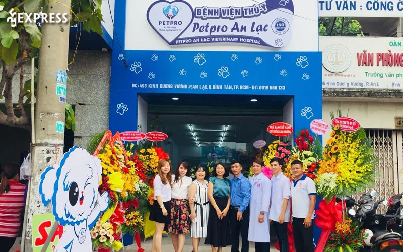 benh-vien-thu-y-pet-pro-35express