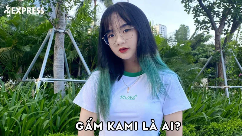 gam-kami-la-ai-35express