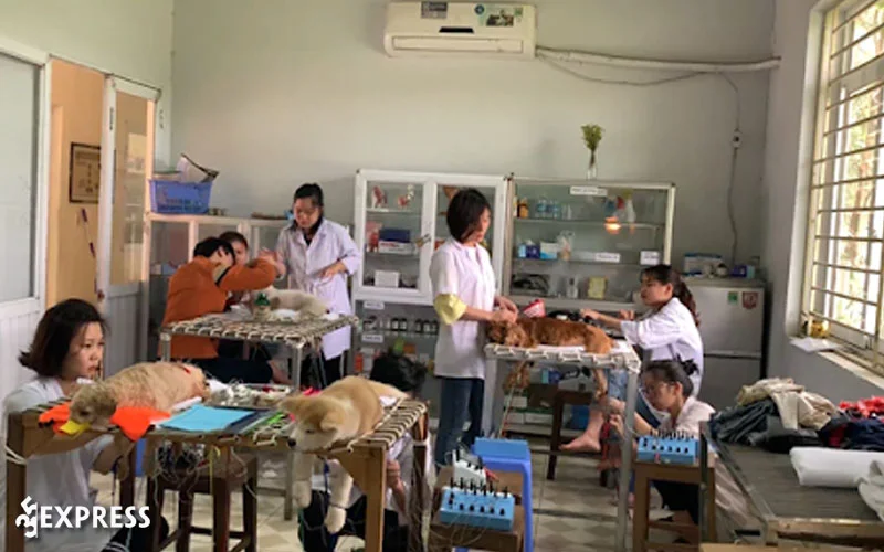 phong-kham-thu-y-cong-dong-35express-1