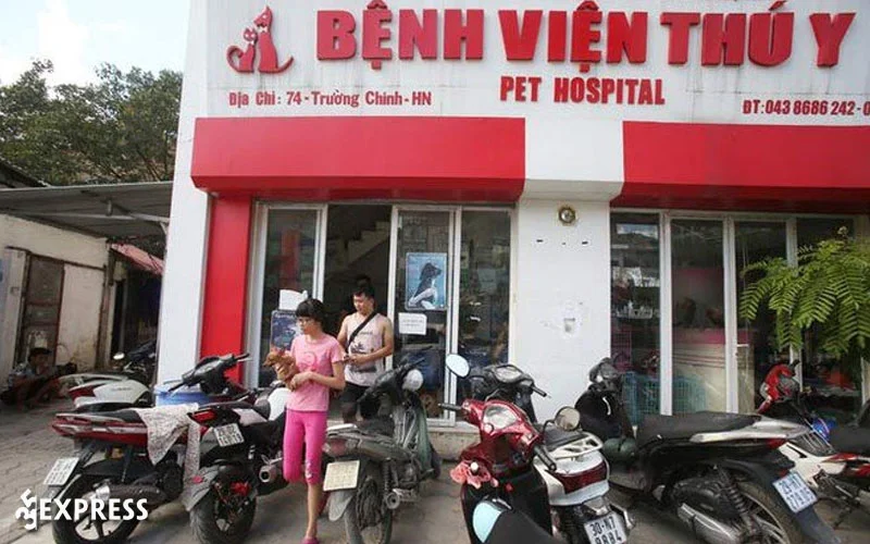 phong-kham-thu-y-ha-noi-petcare-35express