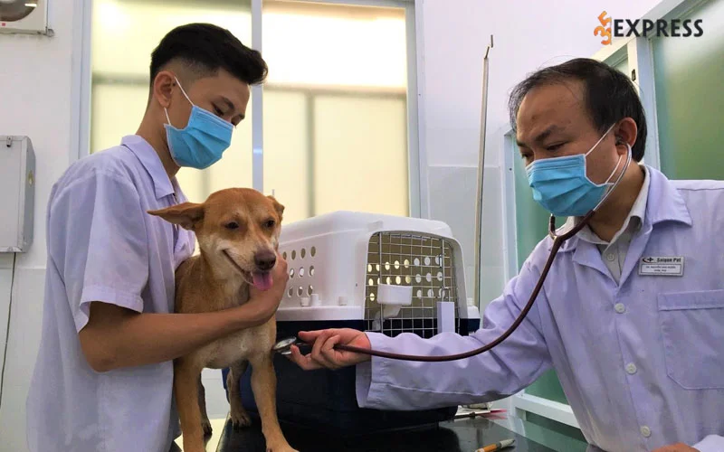 saigonpet-veterinary-clinic-35express