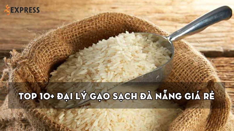 top-10-dai-ly-gao-sach-da-nang-gia-re-chat-luong-nhat