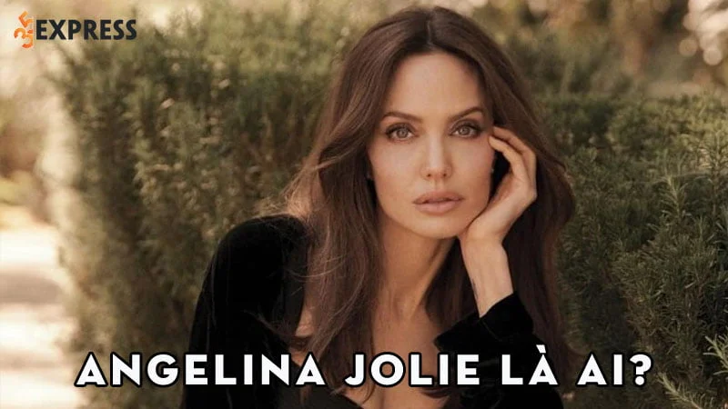 angelina-jolie-la-ai-35express