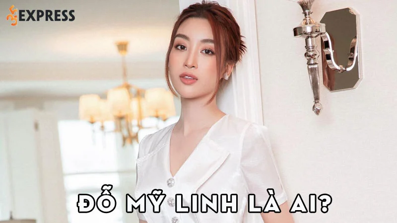 do-my-linh-la-ai-35express