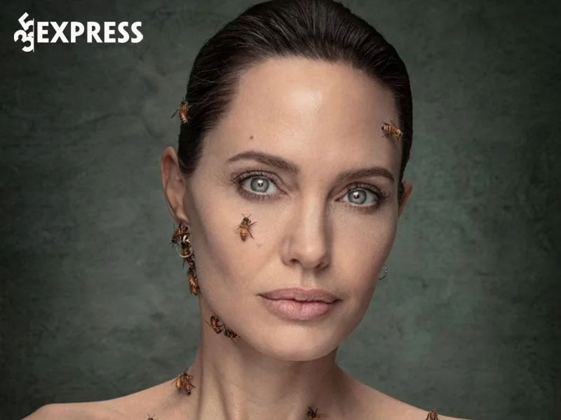 doi-tu-day-bien-dong-cua-angelina-jolie-35express