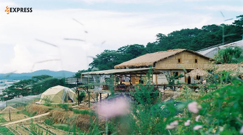 tiem-nang-phat-trien-homestay-bao-loc-la-vo-cung-lon-35express