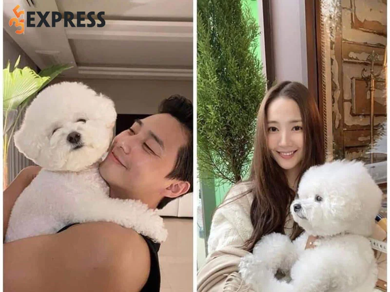doi-tu-cua-park-min-young-1-35express