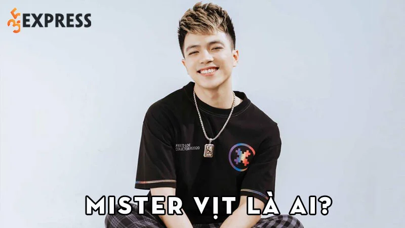 mister-vit-la-ai-35express