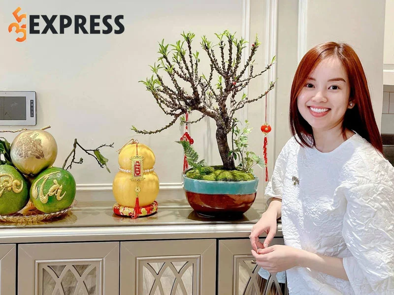 tieu-su-cua-ly-kute-35express