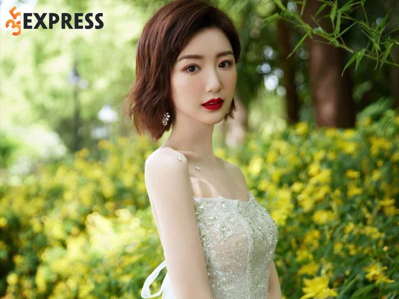 tom-tat-tieu-su-cua-mao-hieu-dong-35express