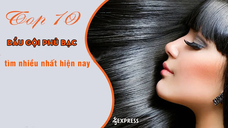 top-10-dau-goi-phu-bac-duoc-tim-nhieu-nhat-hien-nay
