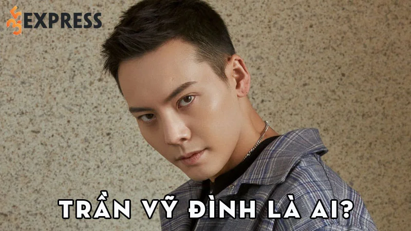 tran-vy-dinh-la-ai-35express
