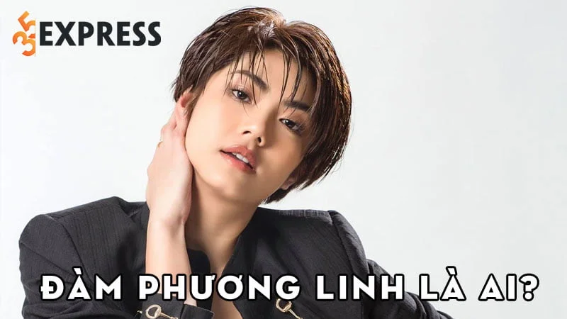dam-phuong-linh-la-ai-35express