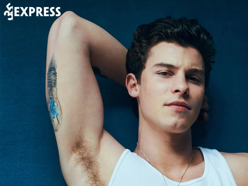 su-nghiep-nam-ca-nhac-si-shawn-mendes-4-35express