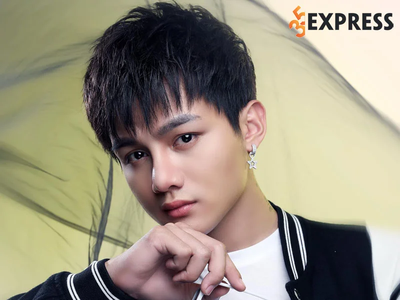 tom-tat-tieu-su-ly-lich-cua-nam-ca-si-phan-duy-anh-35express